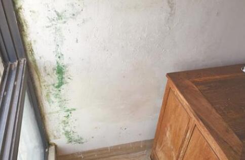 金屬屋面檐口滲水應該怎么解決？家用防水涂料這幾點一定要注意