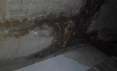 墻面滲水有什么辦法修復？屋頂防水施工的時候這些要留意