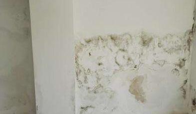 金屬屋面檐口滲水應該怎么解決？家用防水涂料這幾點一定要注意