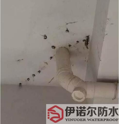 蘇州防水工程的基本內(nèi)容是什么？