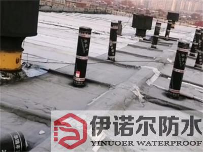 昆山規模大的防水補漏哪家好金質服務